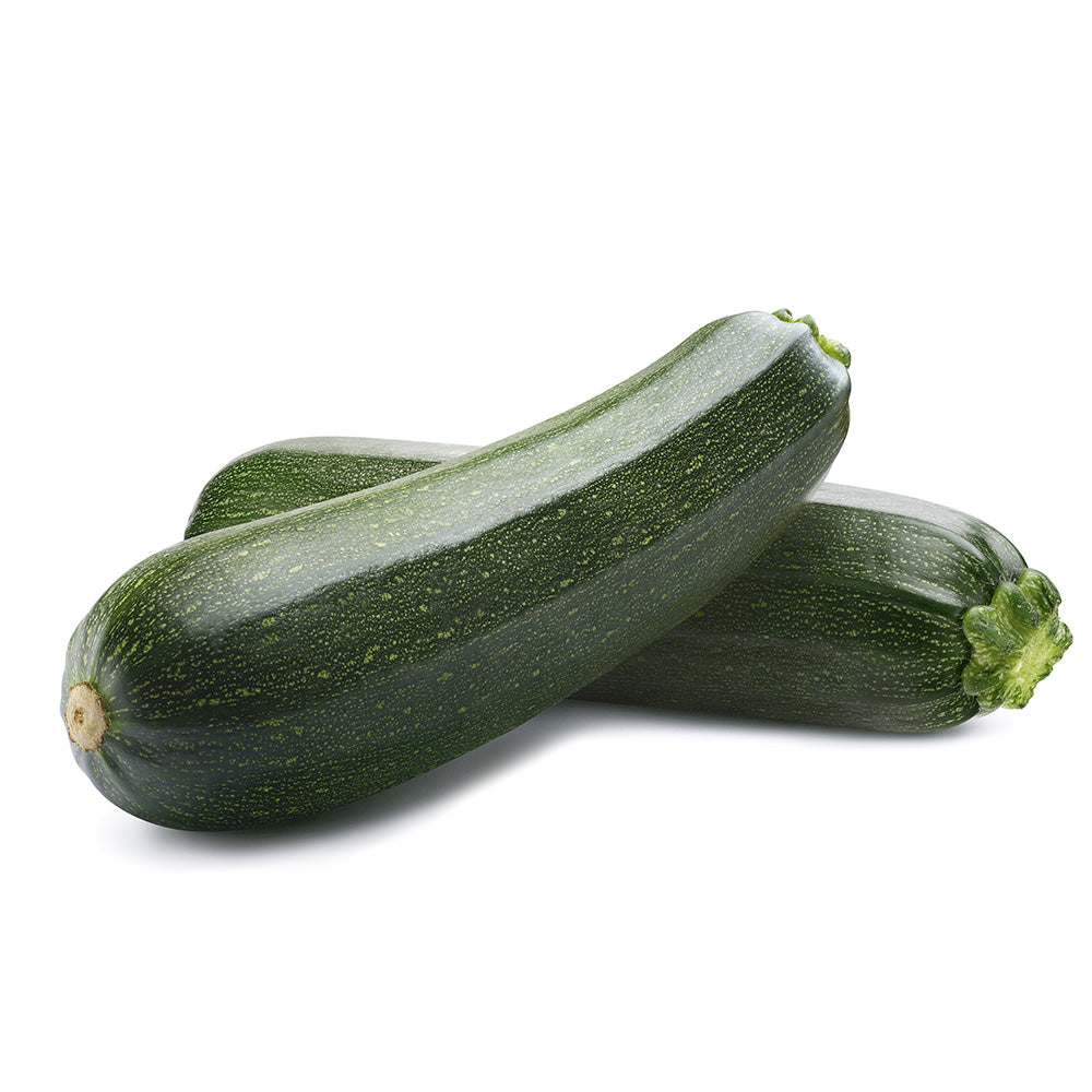 Zucchini Squash 'Noche'