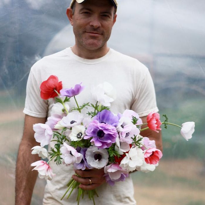 Fresh Cut Flowers Shipped || Farmer’s Mix Anemones