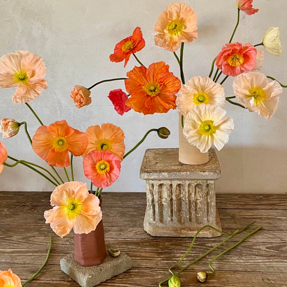 Fresh Cut flowers shipped || Italian Pastel Poppies