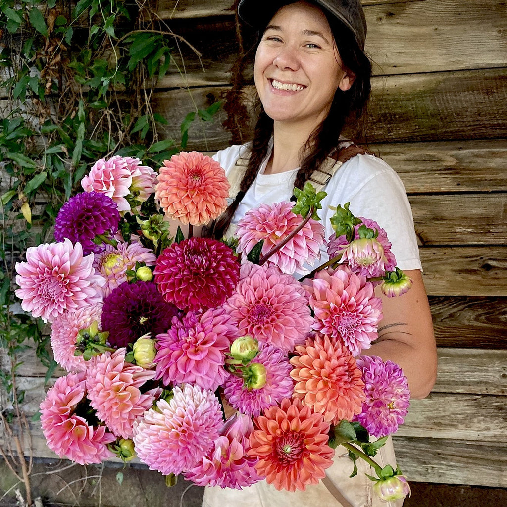 4-week dahlia subscription! wednesday delivery || september 13th