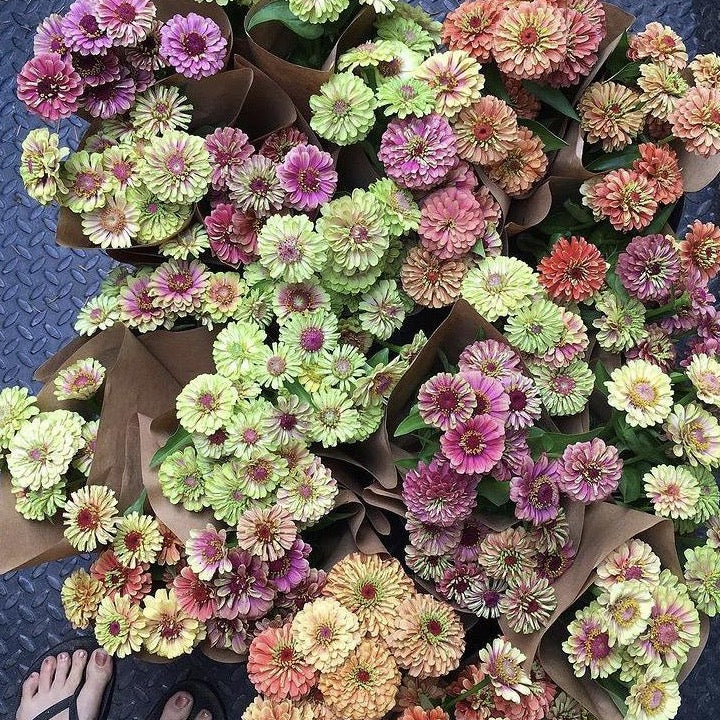 Bouquets of Queeny mix flowers. Easy to grow seeds.